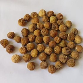 تصویر 2 از خرید انجیر سایز ریز لاکی + قیمت عالی باکیفیت